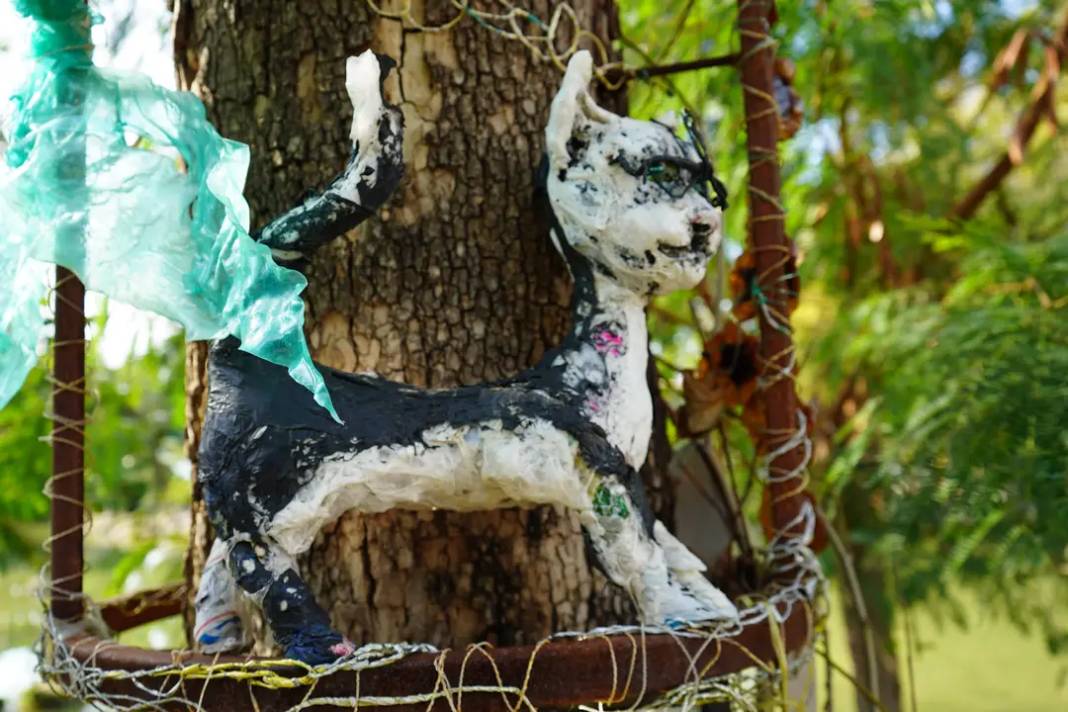 Poşetten Şahmaran'a: Rus Doktordan Antalya'da Çevre Dostu Sanat 4